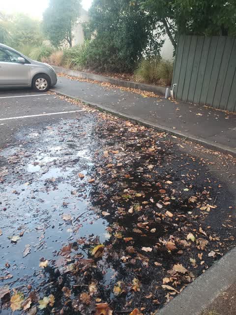 Water Leak, a report photo