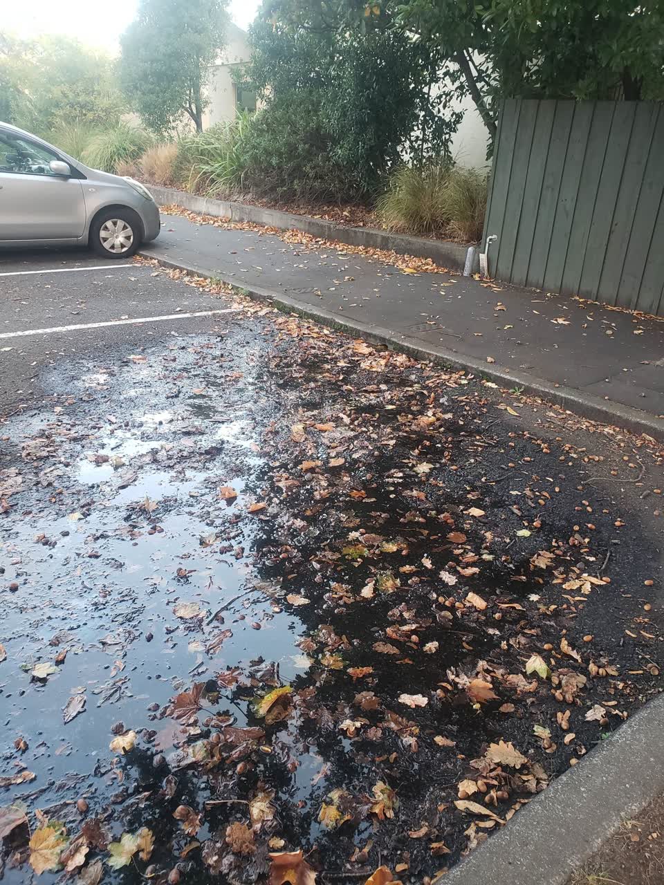 The photograph attached to this water leak report
