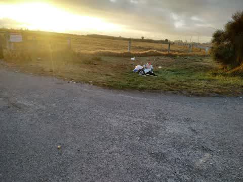 Rubbish/Recycling, a report photo