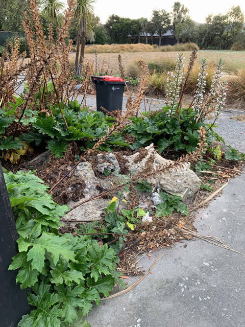 Parks, a report photo