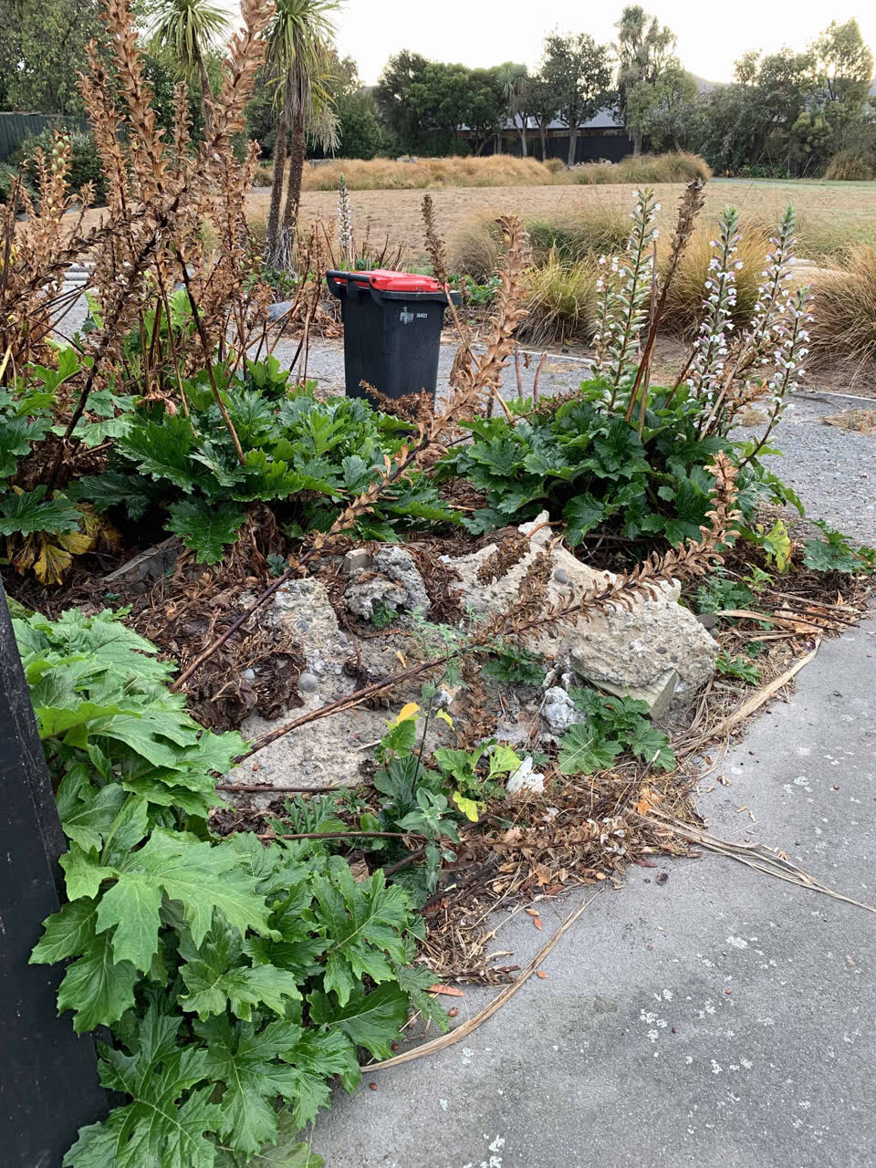 The photograph attached to this parks report