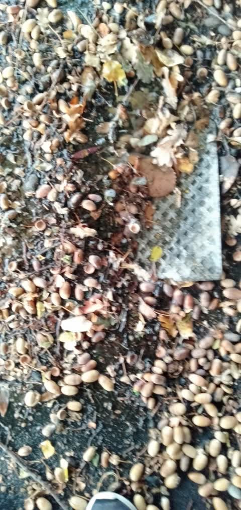 Water Leak, a report photo