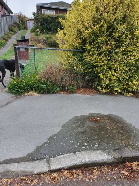 Water Leak, a report photo
