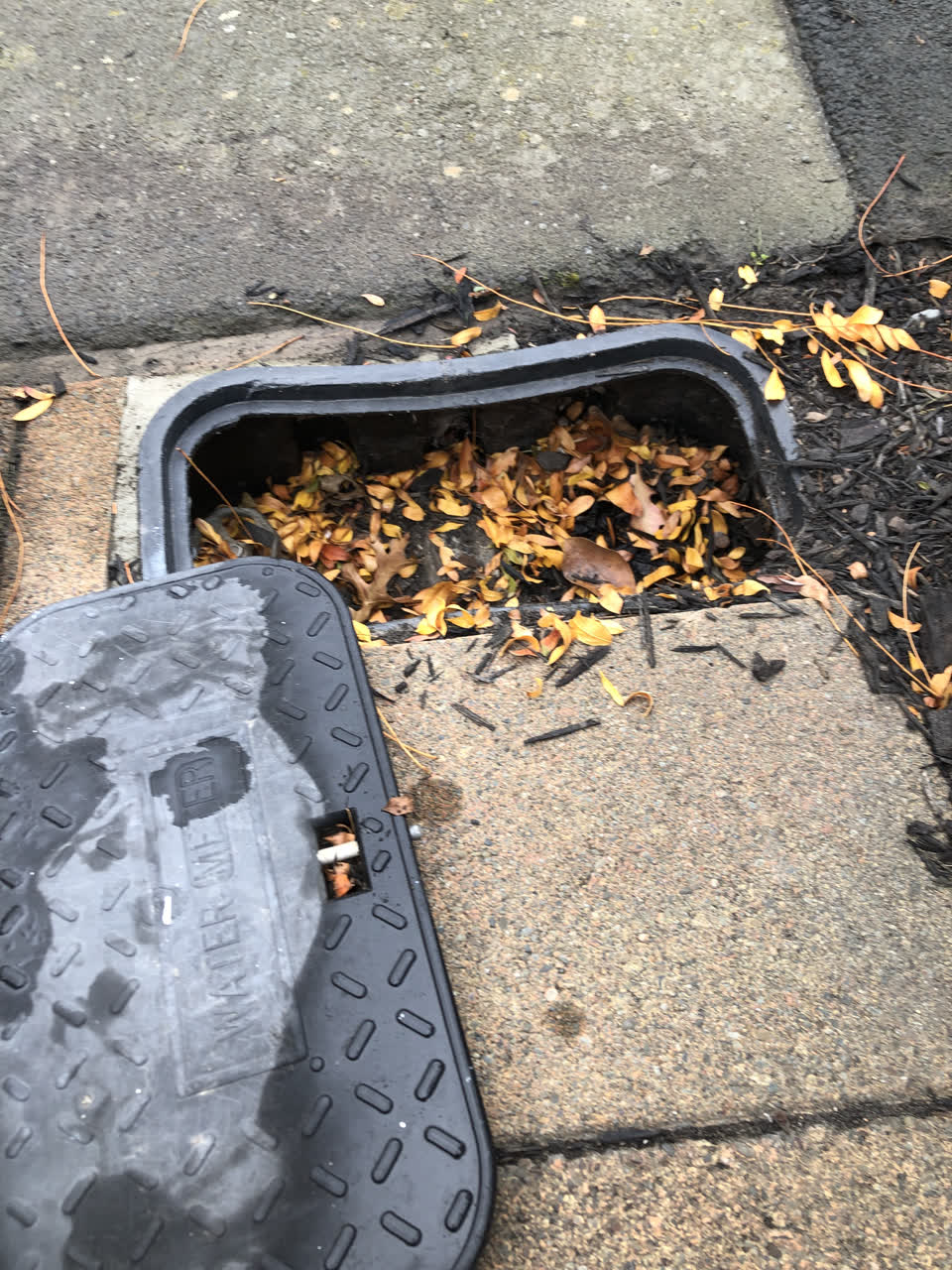 The photograph attached to this water supply report