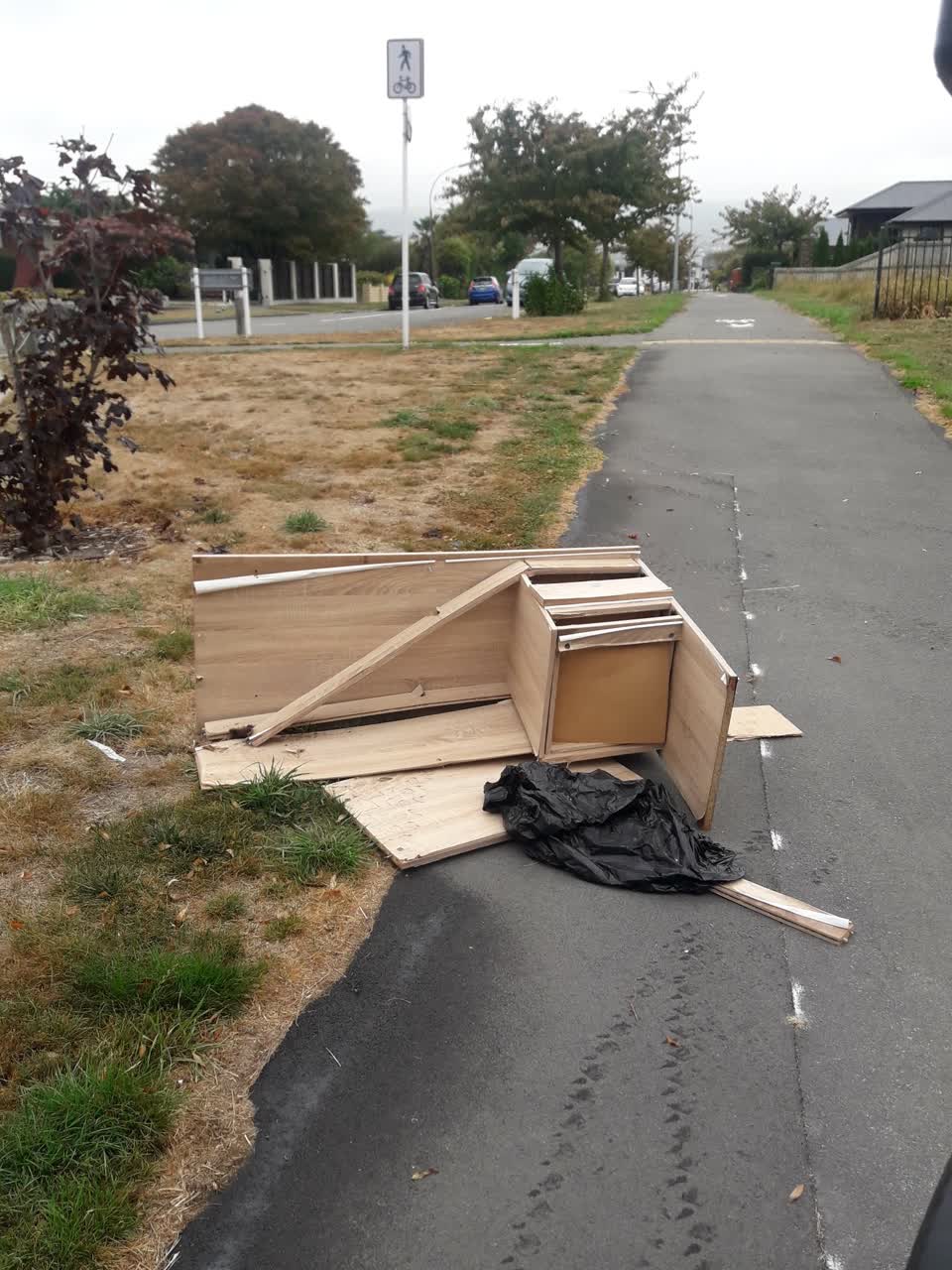 The photograph attached to this parks report