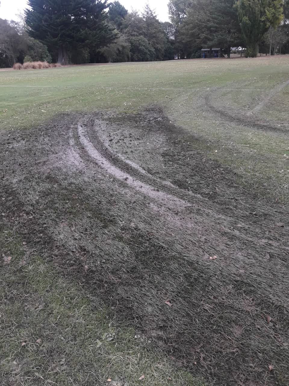 The photograph attached to this parks report