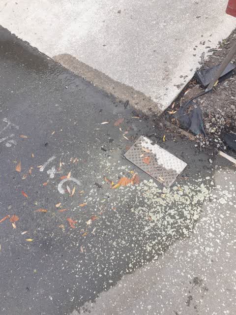 Water Leak, a report photo