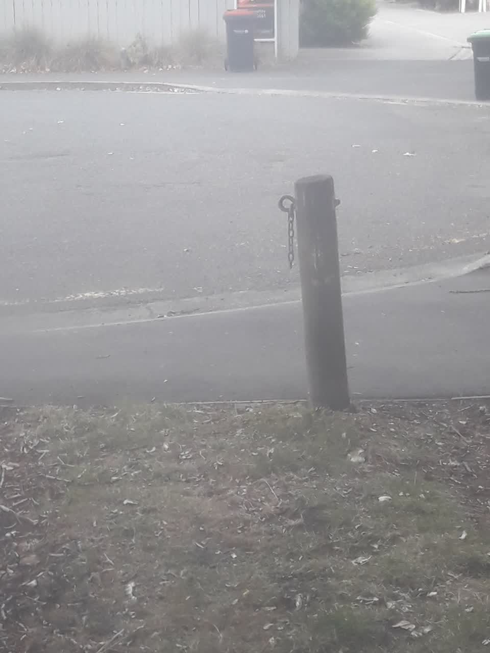 The photograph attached to this parks report