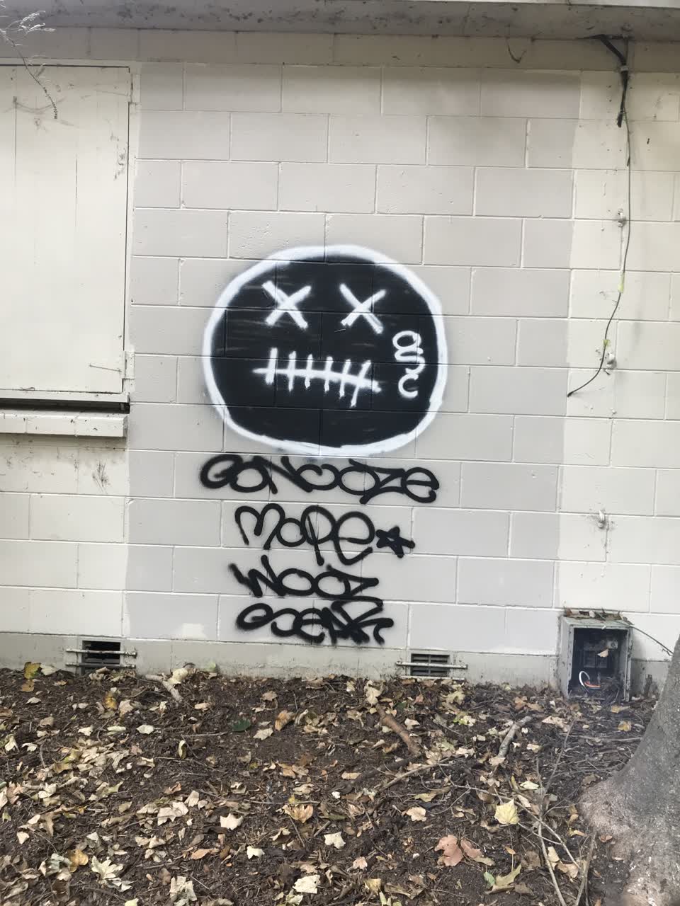 The photograph attached to this parks report
