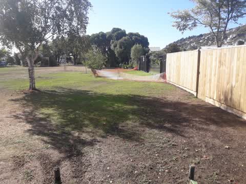 Parks, a report photo