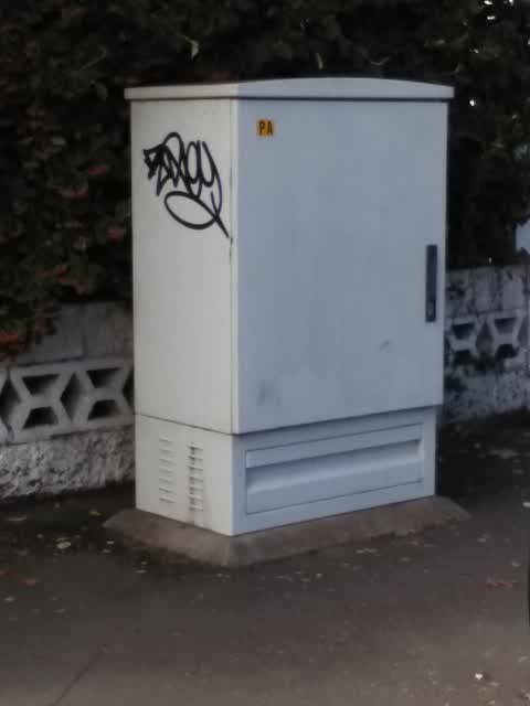 Graffiti, a report photo