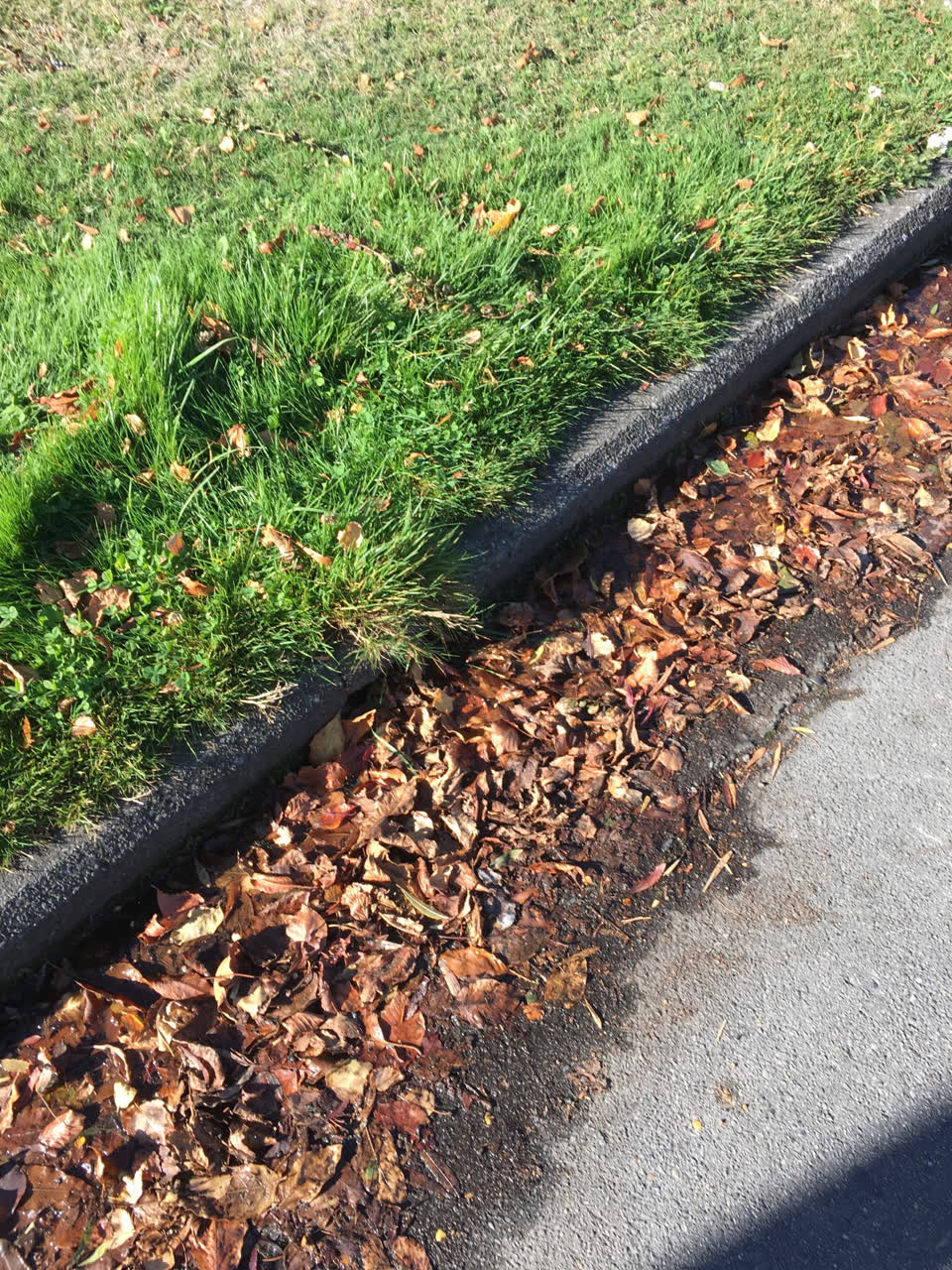 The photograph attached to this water leak report