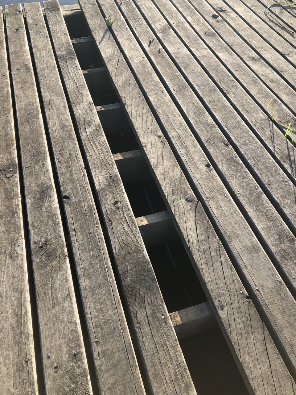 The photograph attached to this parks report