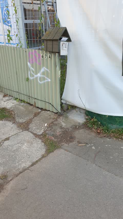 Graffiti, a report photo