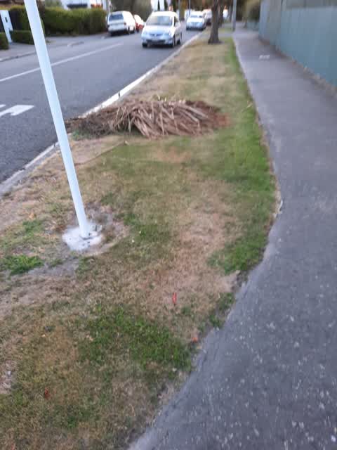 Rubbish/Recycling, a report photo