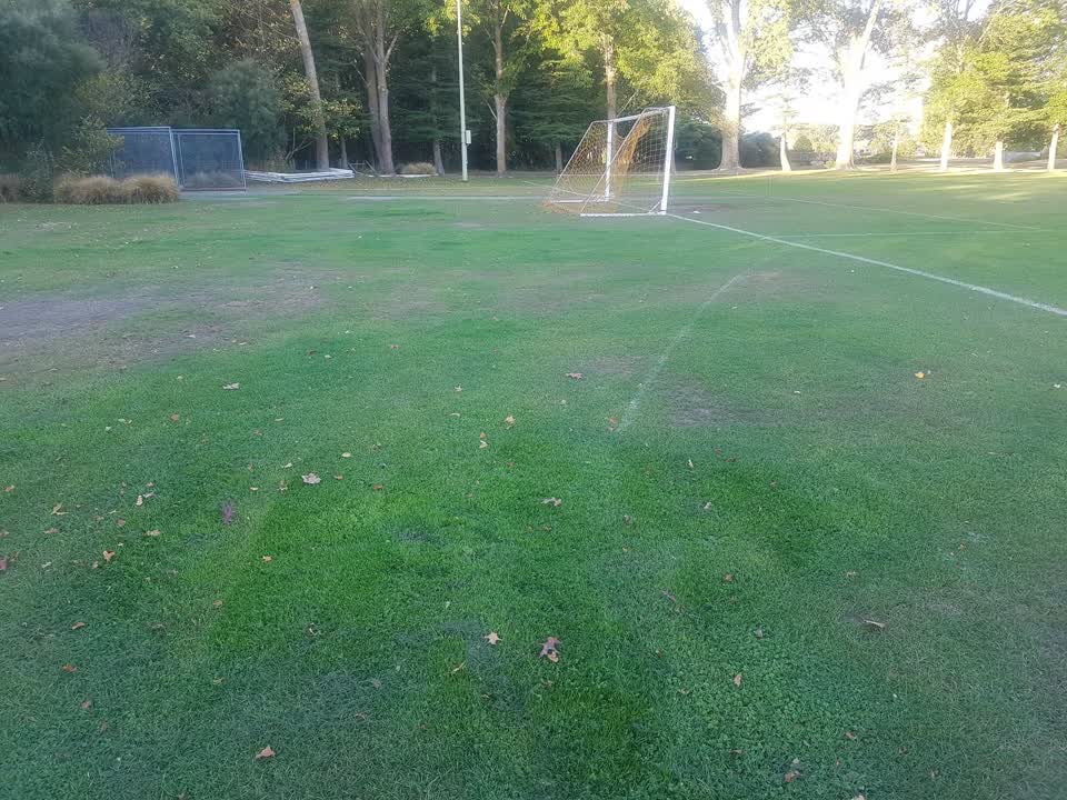 The photograph attached to this parks report