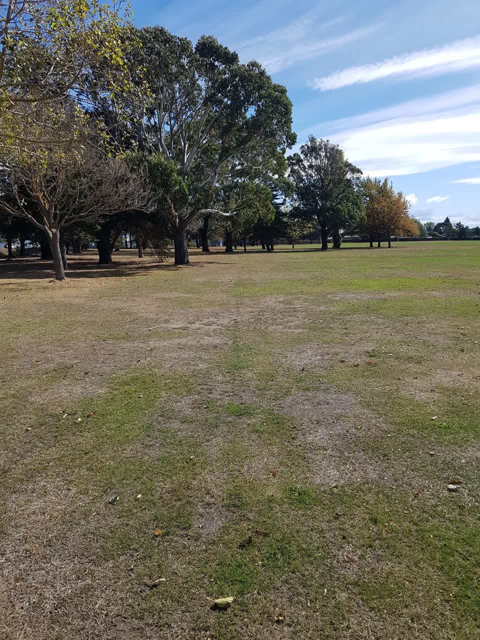 The photograph attached to this parks report