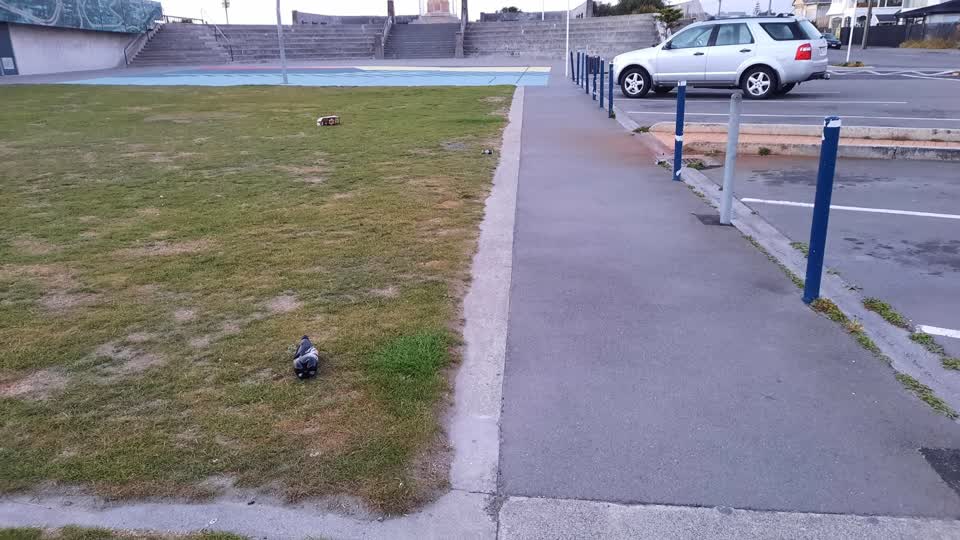 The photograph attached to this parks report