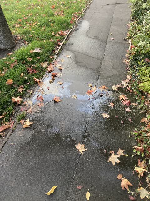 Water Leak, a report photo