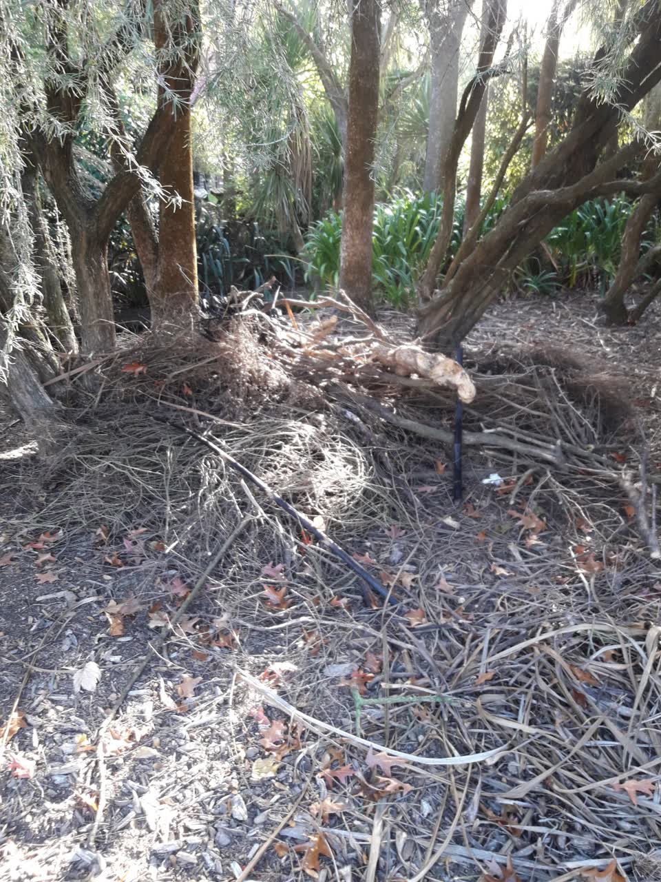 The photograph attached to this parks report