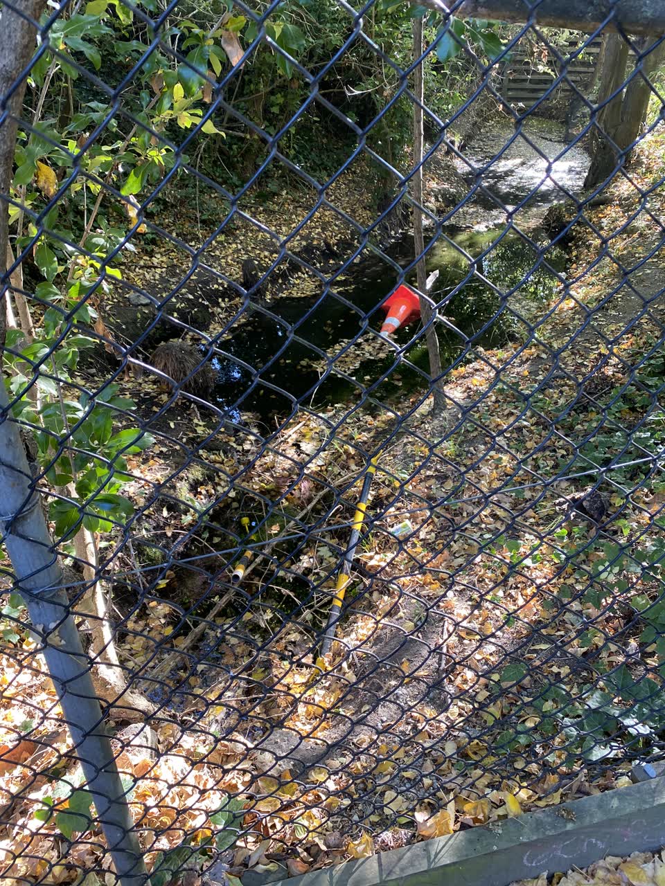 The photograph attached to this parks report