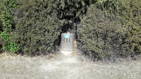 Parks, a report photo