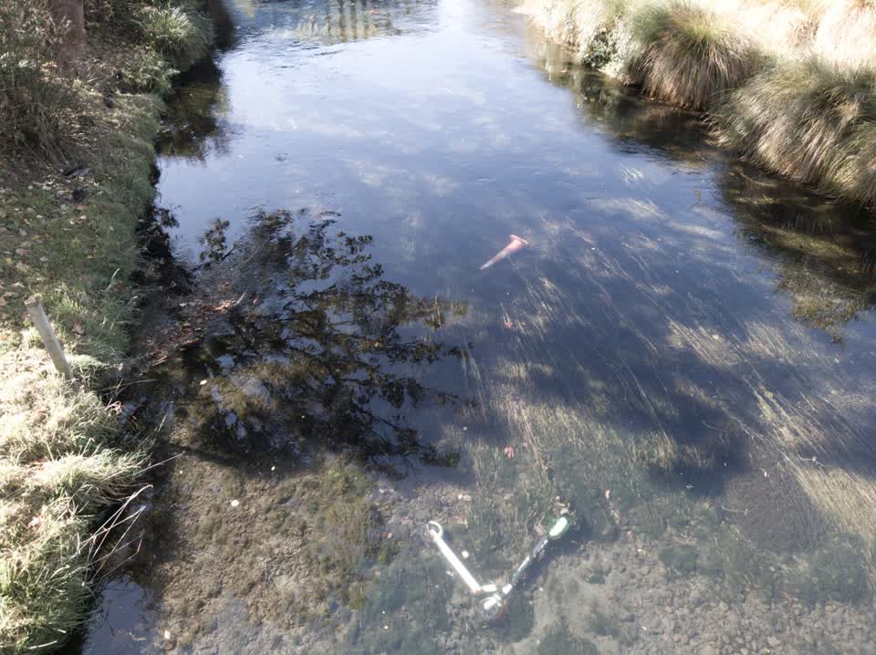 The photograph attached to this parks report