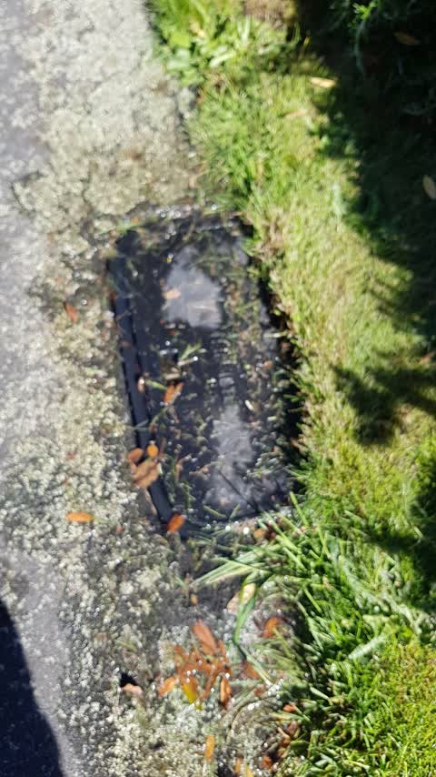 Water Leak, a report photo