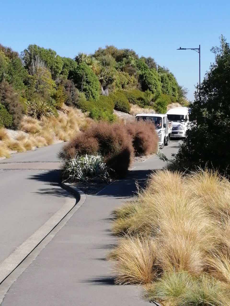 The photograph attached to this parks report