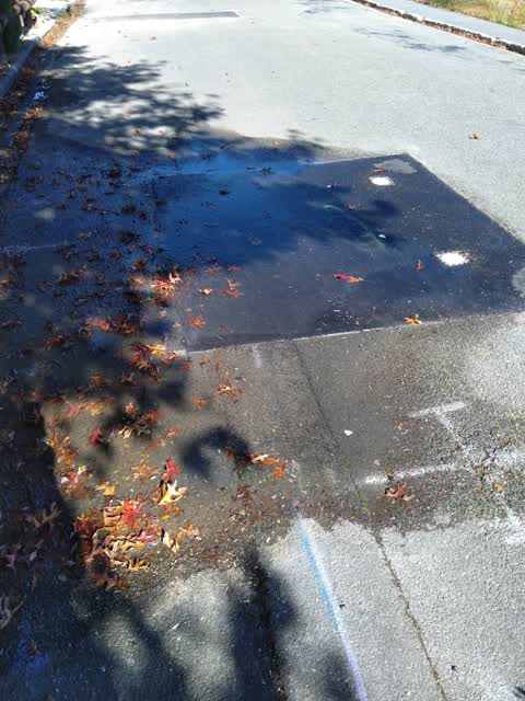 Sewer - Leak / Blockage — a report photo