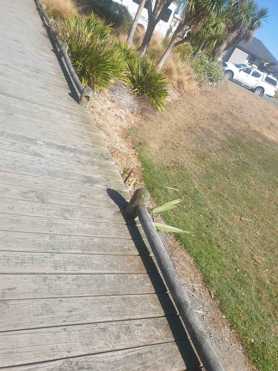 The photograph attached to this parks report