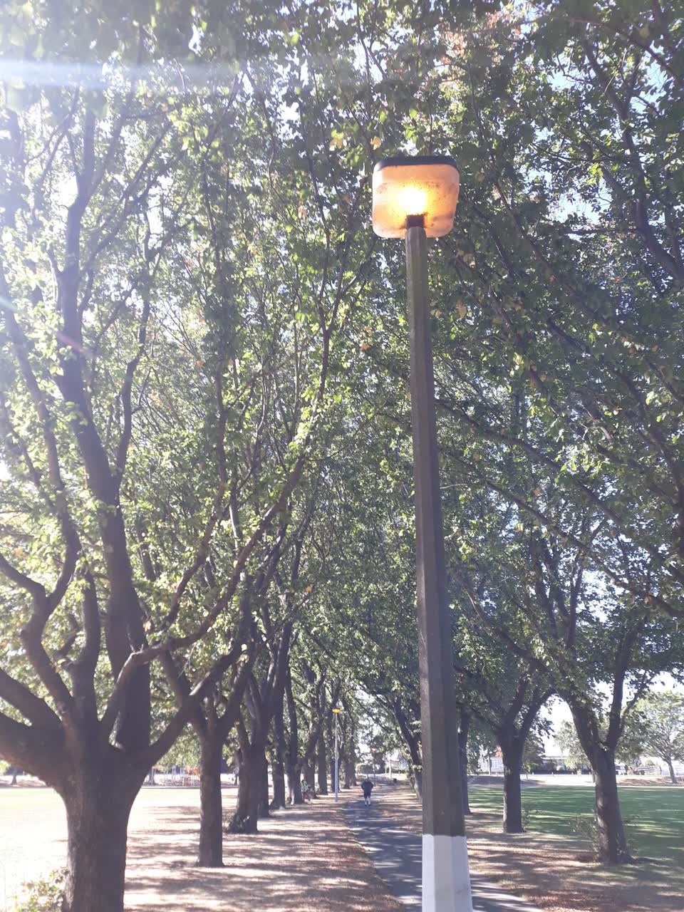 The photograph attached to this street light outage report