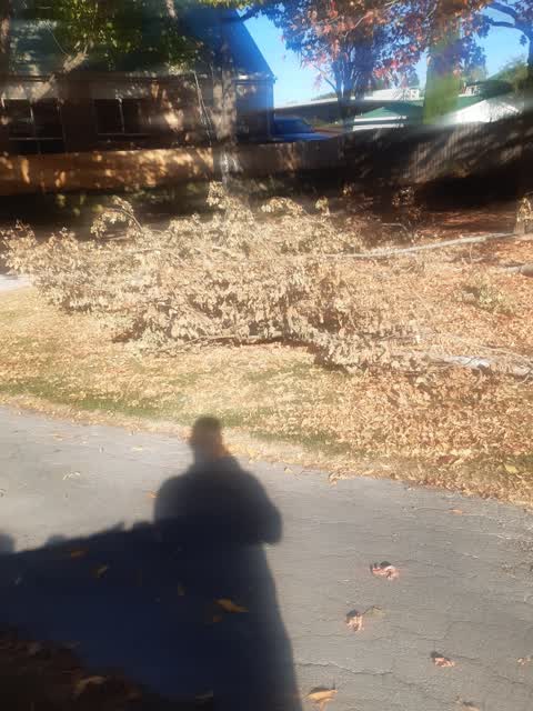 Parks, a report photo