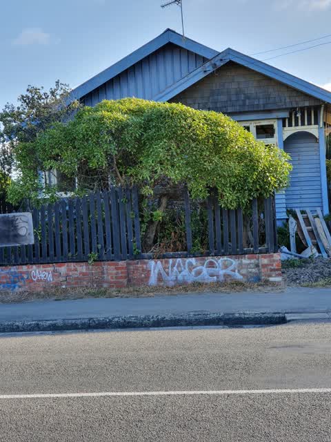 Graffiti, a report photo
