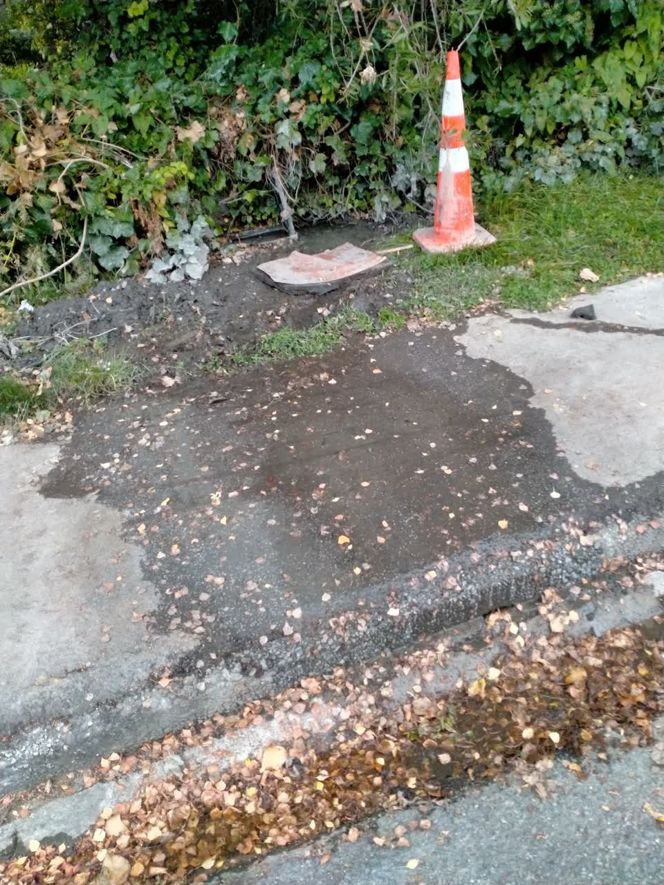 The photograph attached to this water leak report