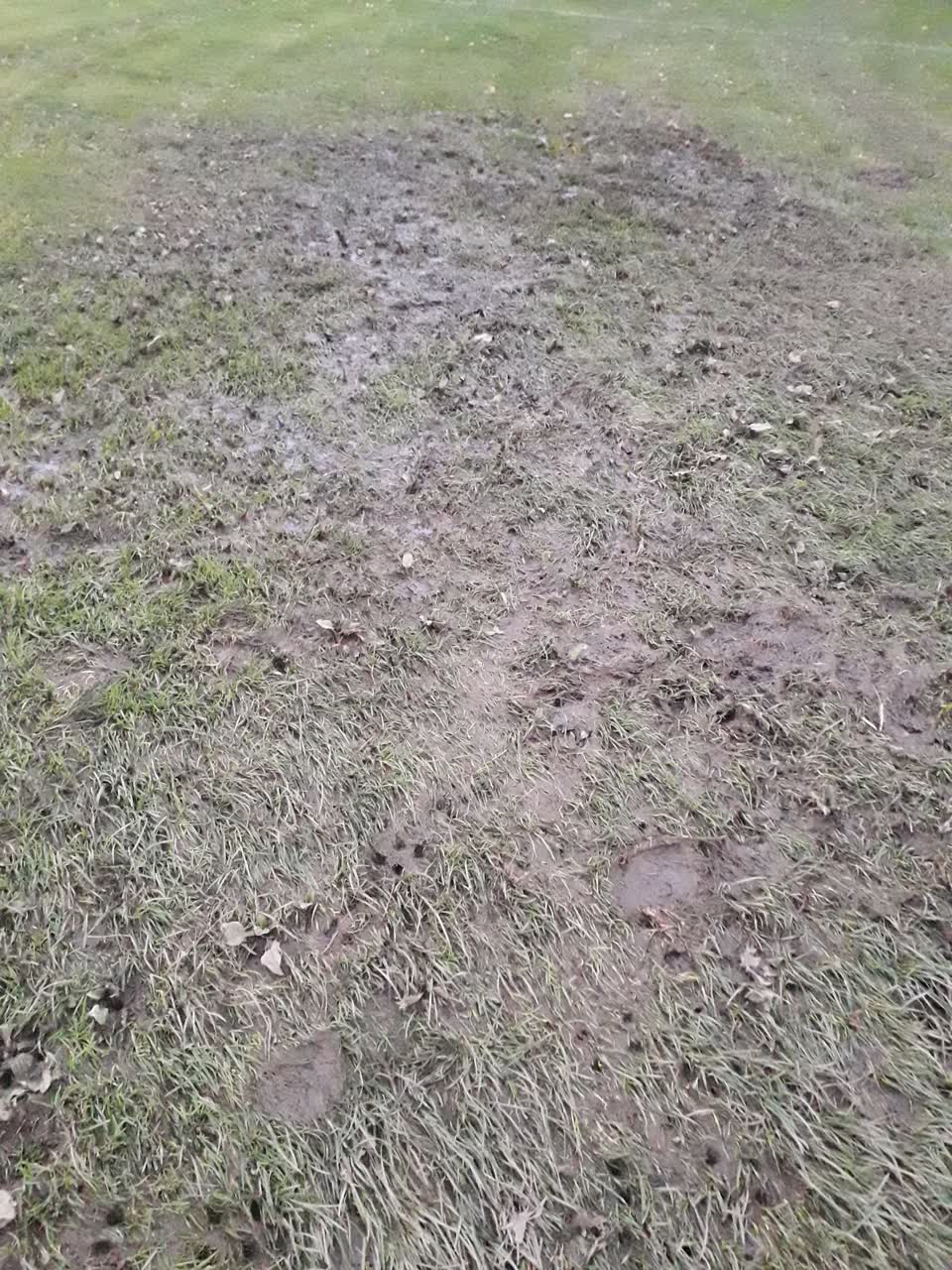 The photograph attached to this water leak report