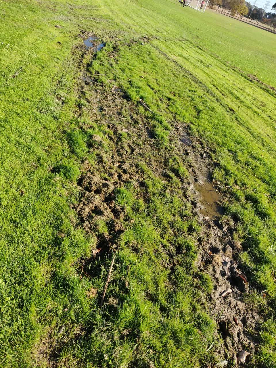 The photograph attached to this parks report