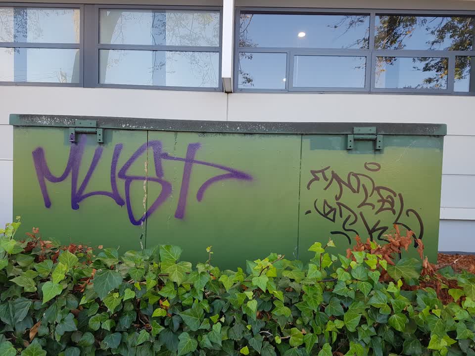 The photograph attached to this graffiti report