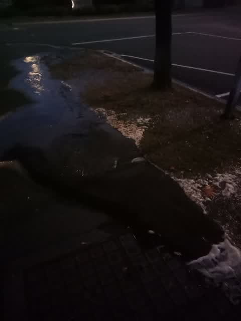 Flooding, a report photo