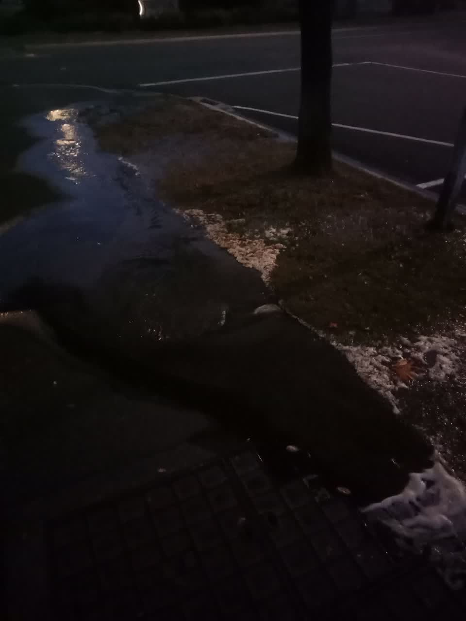 The photograph attached to this flooding report