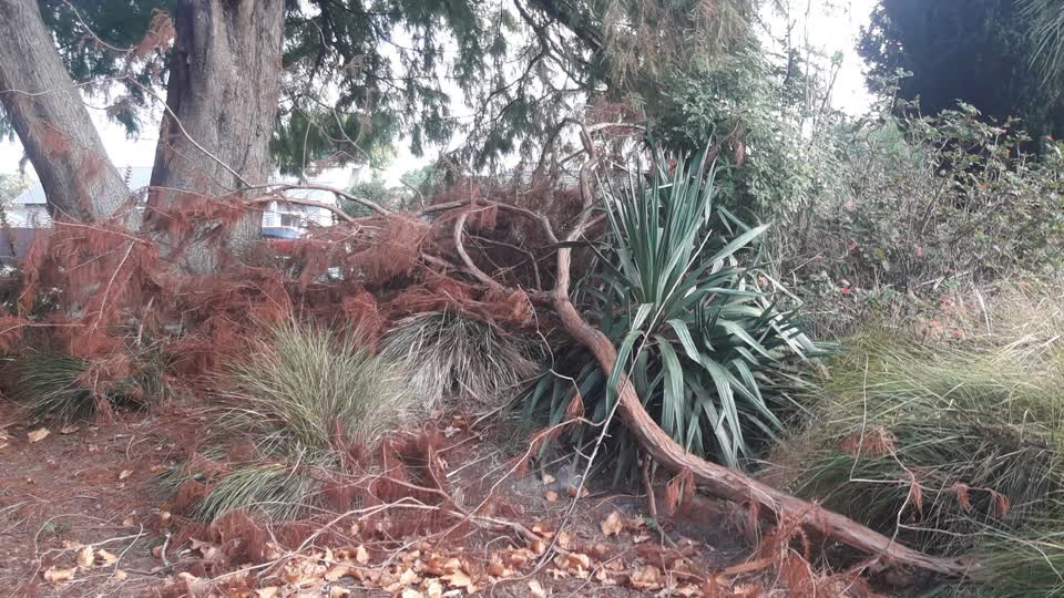 The photograph attached to this parks report