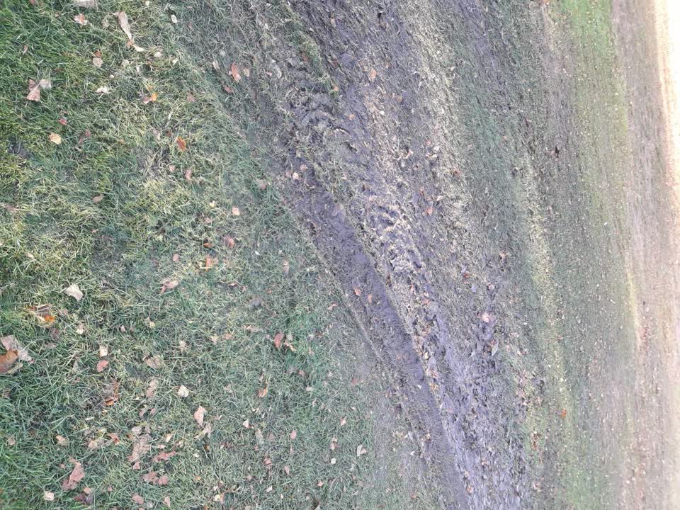 The photograph attached to this parks report