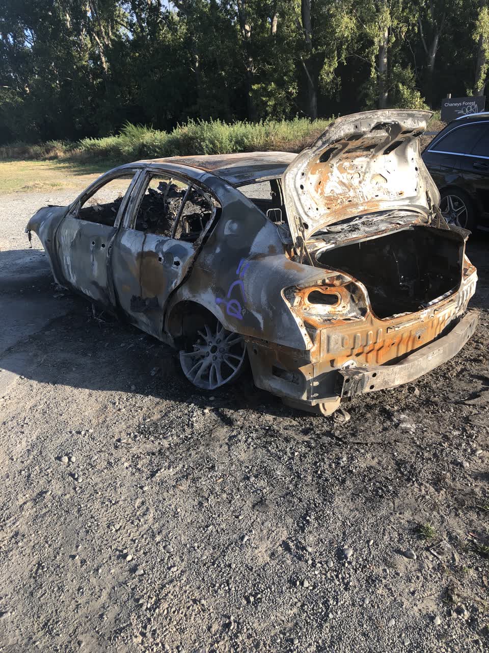 The photograph attached to this parks report