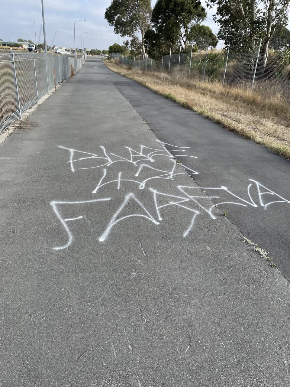 The photograph attached to this graffiti report
