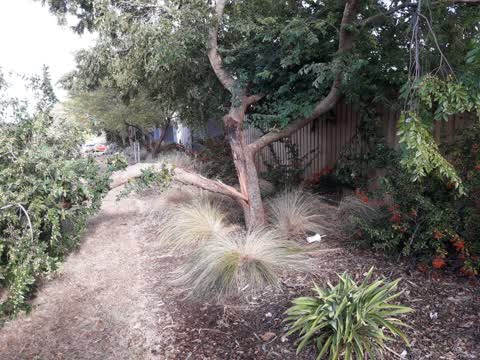Parks, a report photo