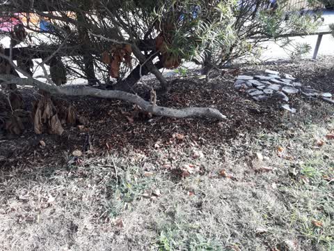 Parks, a report photo