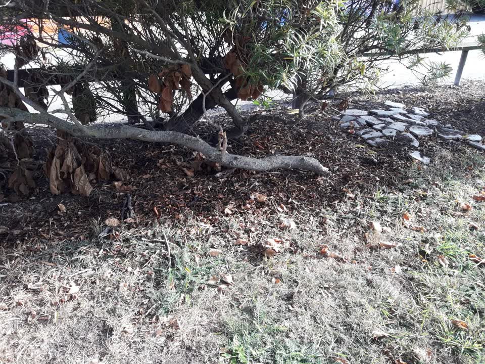 The photograph attached to this parks report