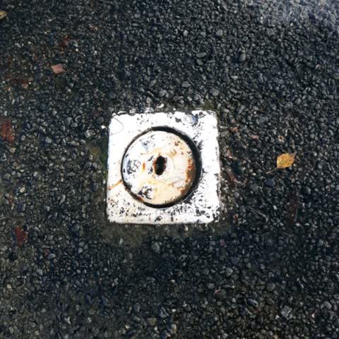 Water Leak, a report photo
