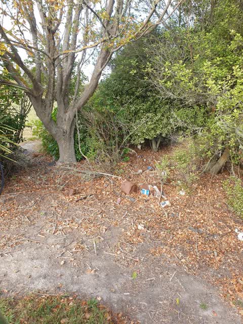 Rubbish/Recycling, a report photo