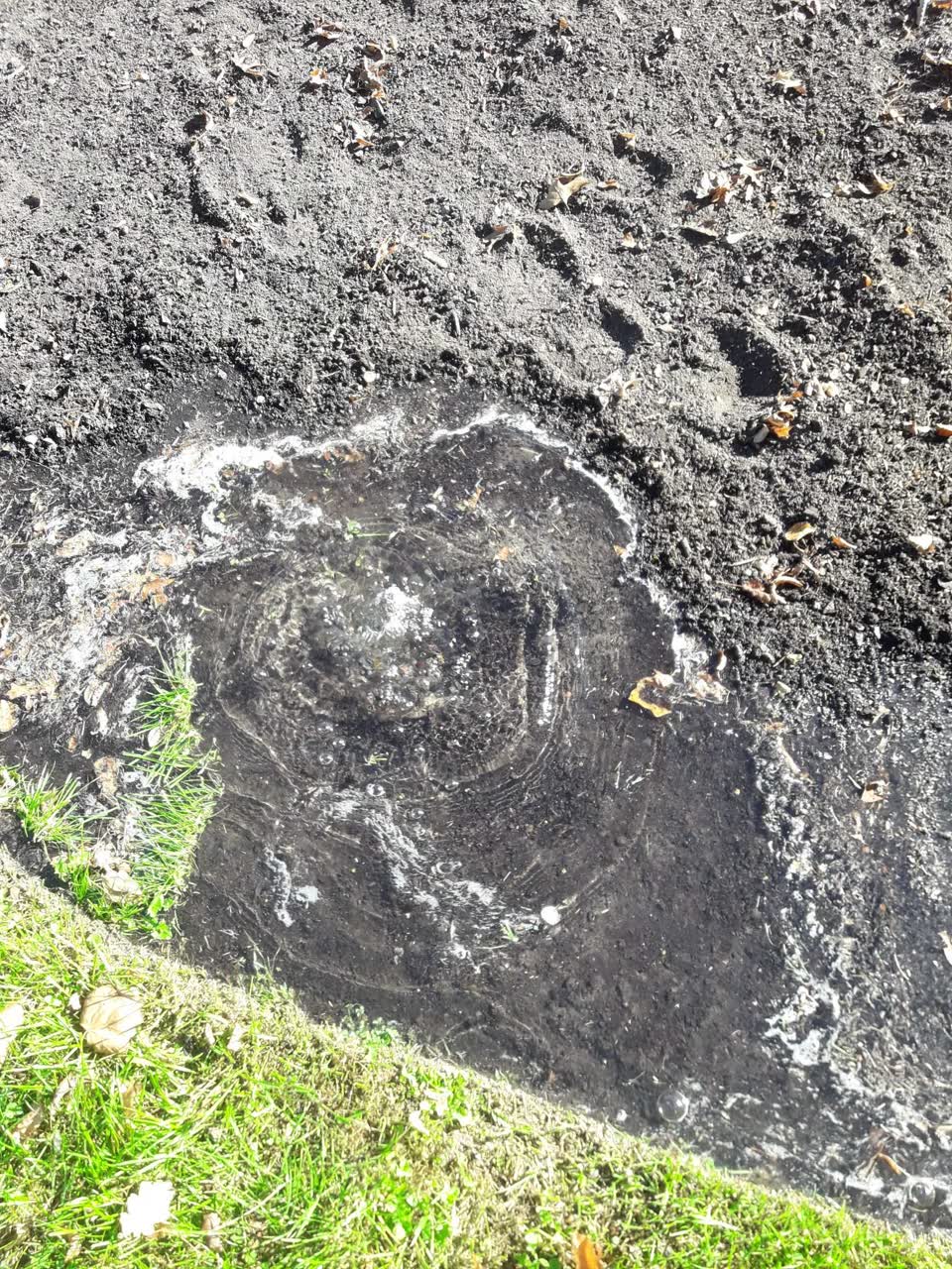 The photograph attached to this parks report